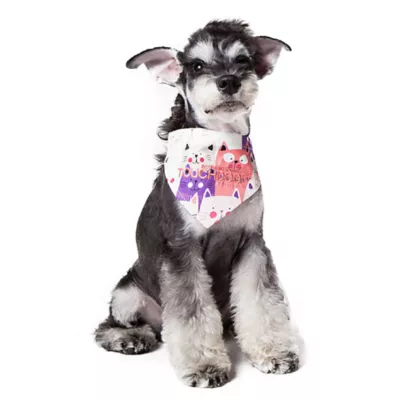 Product Touchdog Head-Popper Fashion Designer Printed Velcro Dog Bandana