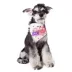 Touchdog Head-Popper Fashion Designer Printed Velcro Dog Bandana image thumbnail 2