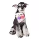 Product Touchdog Head-Popper Fashion Designer Printed Velcro Dog Bandana