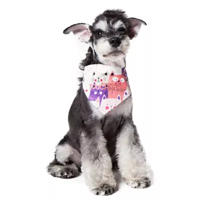 Product Touchdog Head-Popper Fashion Designer Printed Velcro Dog Bandana