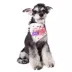 Touchdog Head-Popper Fashion Designer Printed Velcro Dog Bandana image thumbnail 2