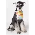 Touchdog Head-Popper Fashion Designer Printed Velcro Dog Bandana image thumbnail 2