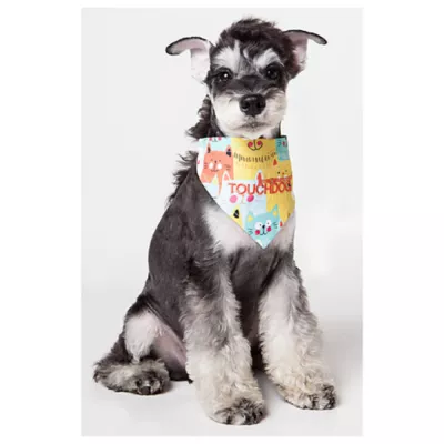 Product Touchdog Head-Popper Fashion Designer Printed Velcro Dog Bandana