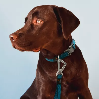 Product Pet Life Escapade Outdoor Series 2-in-1 Convertible Dog Leash and Collar