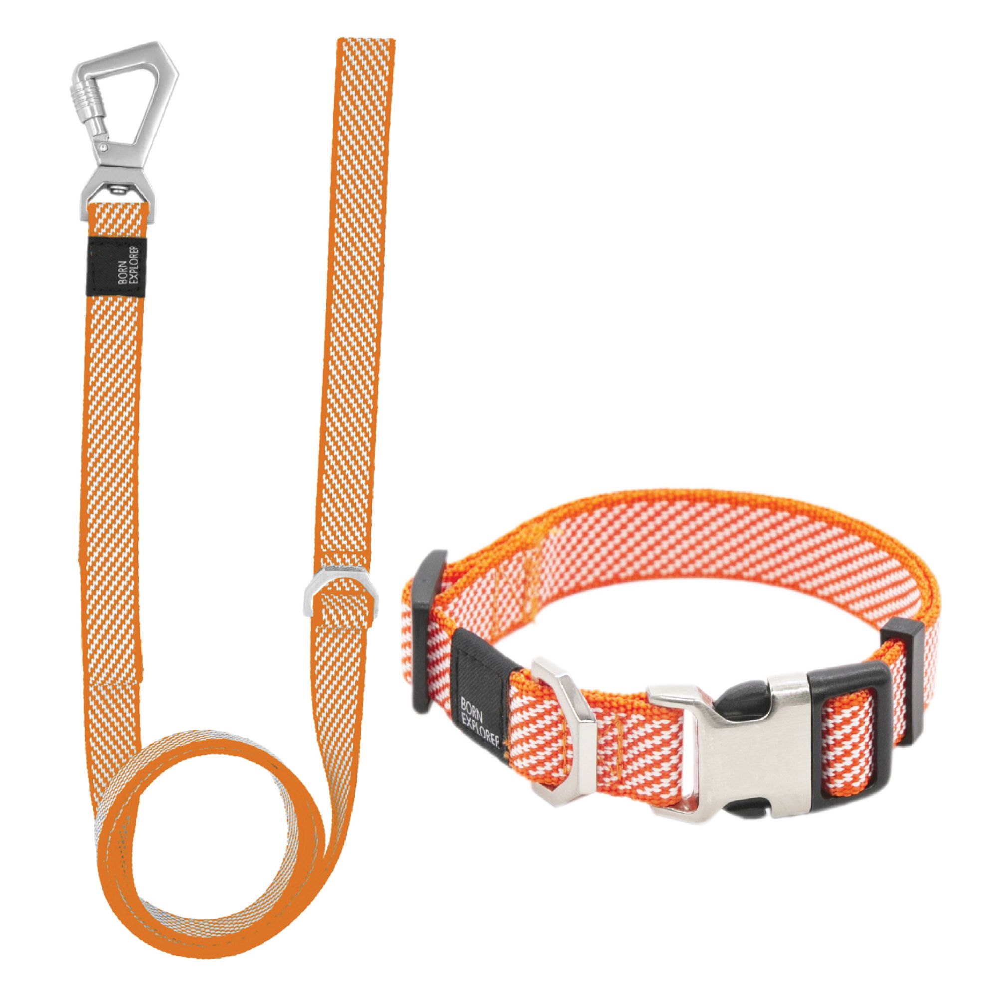 Leash 2025 splitter petsmart