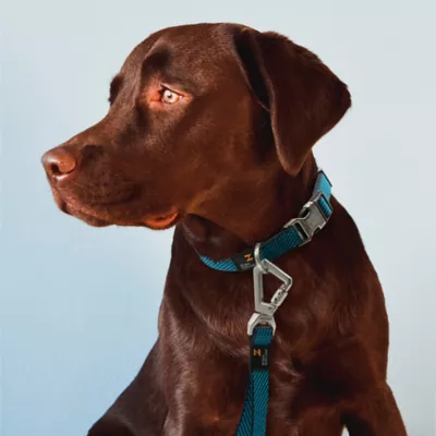 Product Pet Life Escapade Outdoor Series 2-in-1 Convertible Dog Leash and Collar