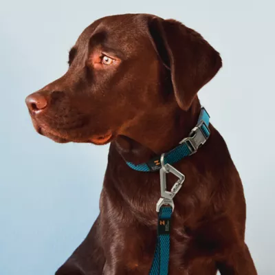 Product Pet Life Escapade Outdoor Series 2-in-1 Convertible Dog Leash and Collar