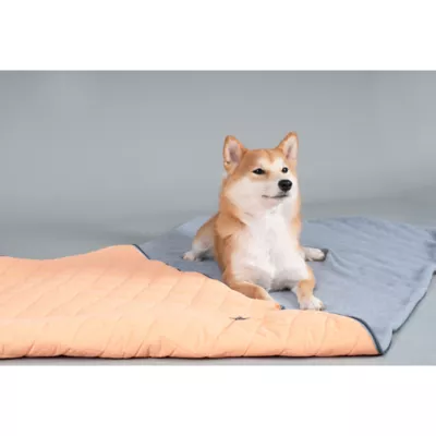 Product Dog Helios Boulder-Trek 3-in-1 Expandable Surface Outdoor Travel Camping Dog Mat