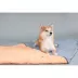 Dog Helios Boulder-Trek 3-in-1 Expandable Surface Outdoor Travel Camping Dog Mat image thumbnail 5