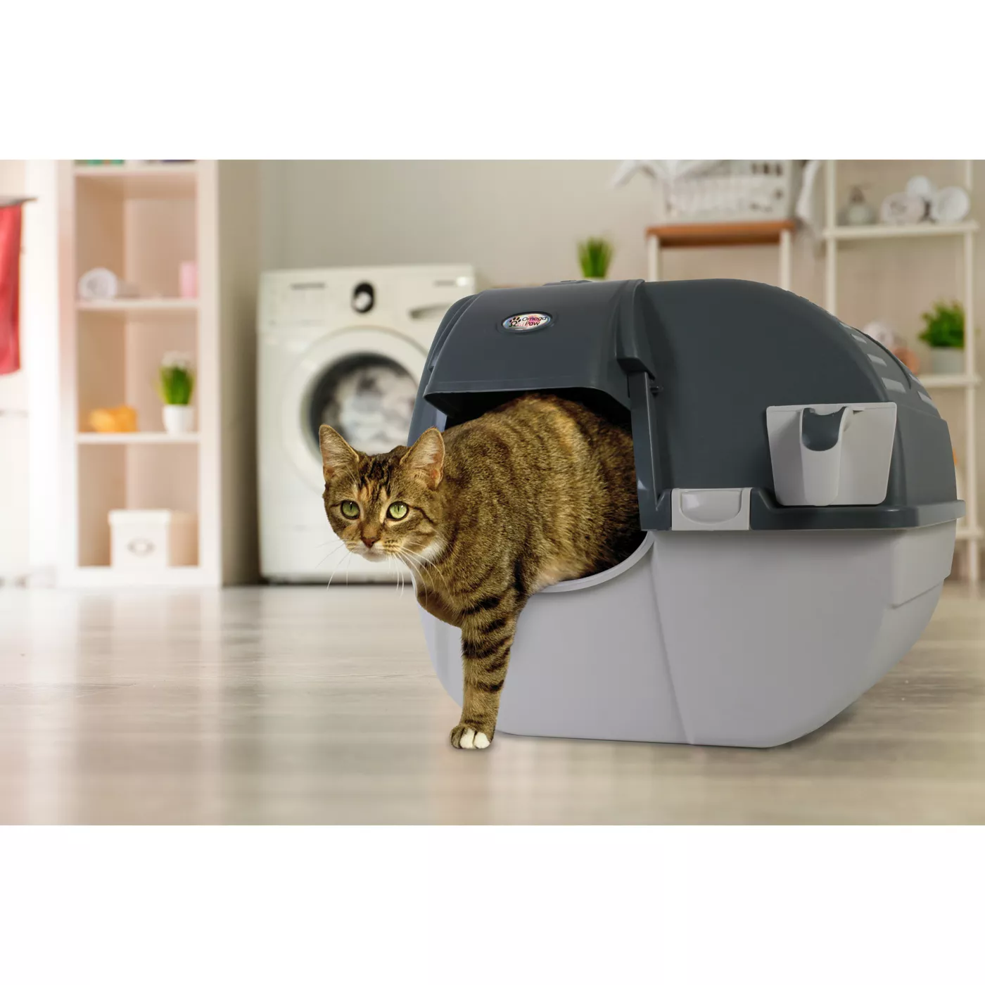 Omega self cleaning fashion litter box