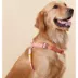 Touchdog Macaron 2-in-1 Durable Nylon Dog Harness and Leash image thumbnail 4