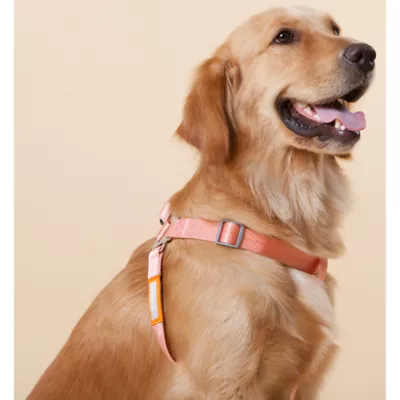 Product Touchdog Macaron 2-in-1 Durable Nylon Dog Harness and Leash