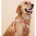 Touchdog Macaron 2-in-1 Durable Nylon Dog Harness and Leash image thumbnail 4