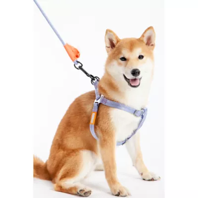 Product Touchdog Macaron 2-in-1 Durable Nylon Dog Harness and Leash