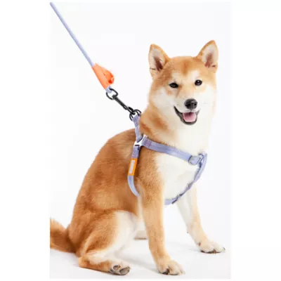 Product Touchdog Macaron 2-in-1 Durable Nylon Dog Harness and Leash