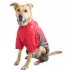 Dog Helios Blizzard Full-Bodied Adjustable and 3M Reflective Dog Jacket image thumbnail 2