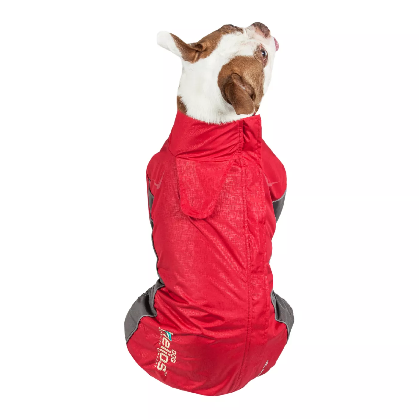 Helios dog winter jacket best sale