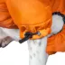 Dog Helios Thunder-Crackle Full-Body Waded-Plush Adjustable and 3M Reflective Dog Jacket image thumbnail 4