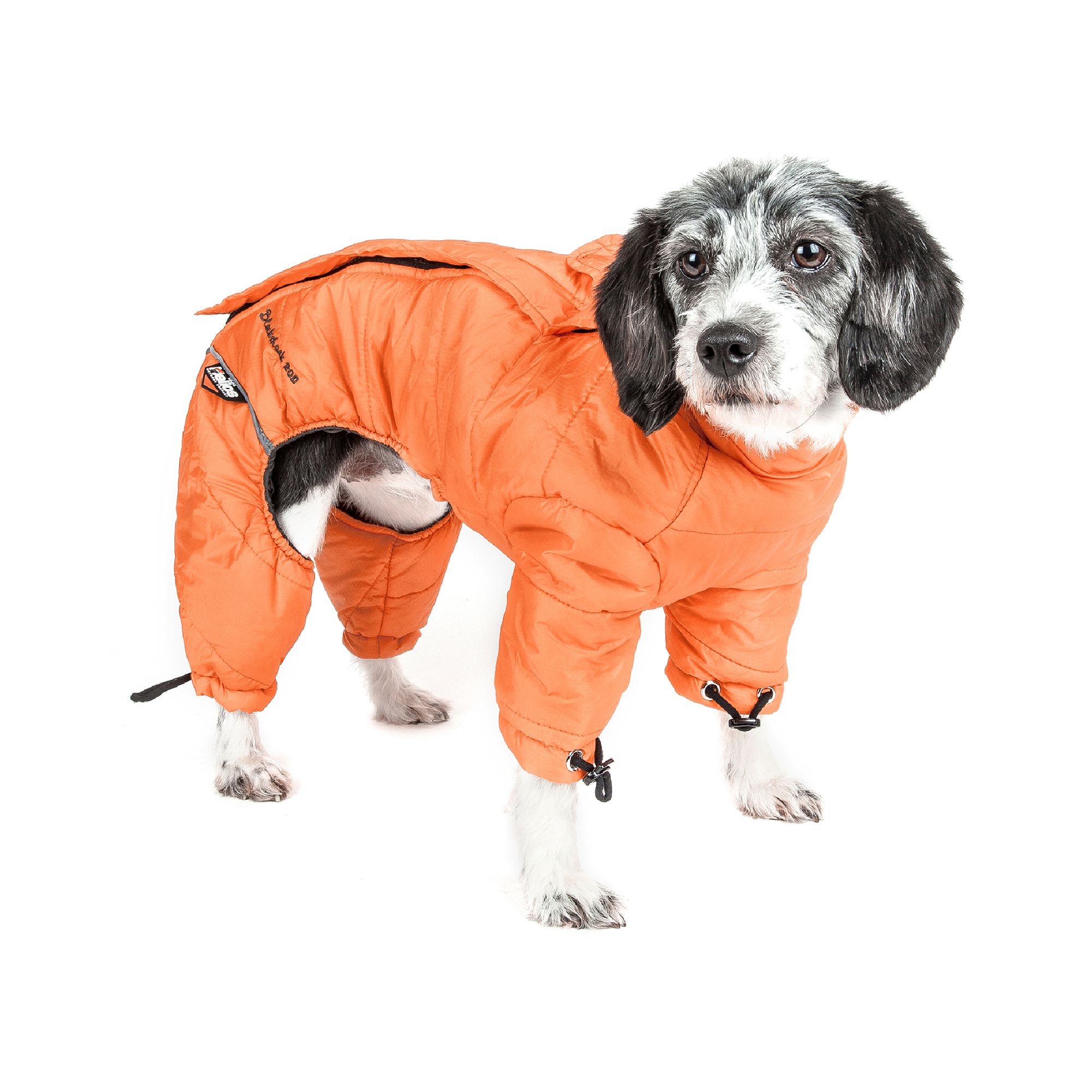 Thunder suits shops for dogs