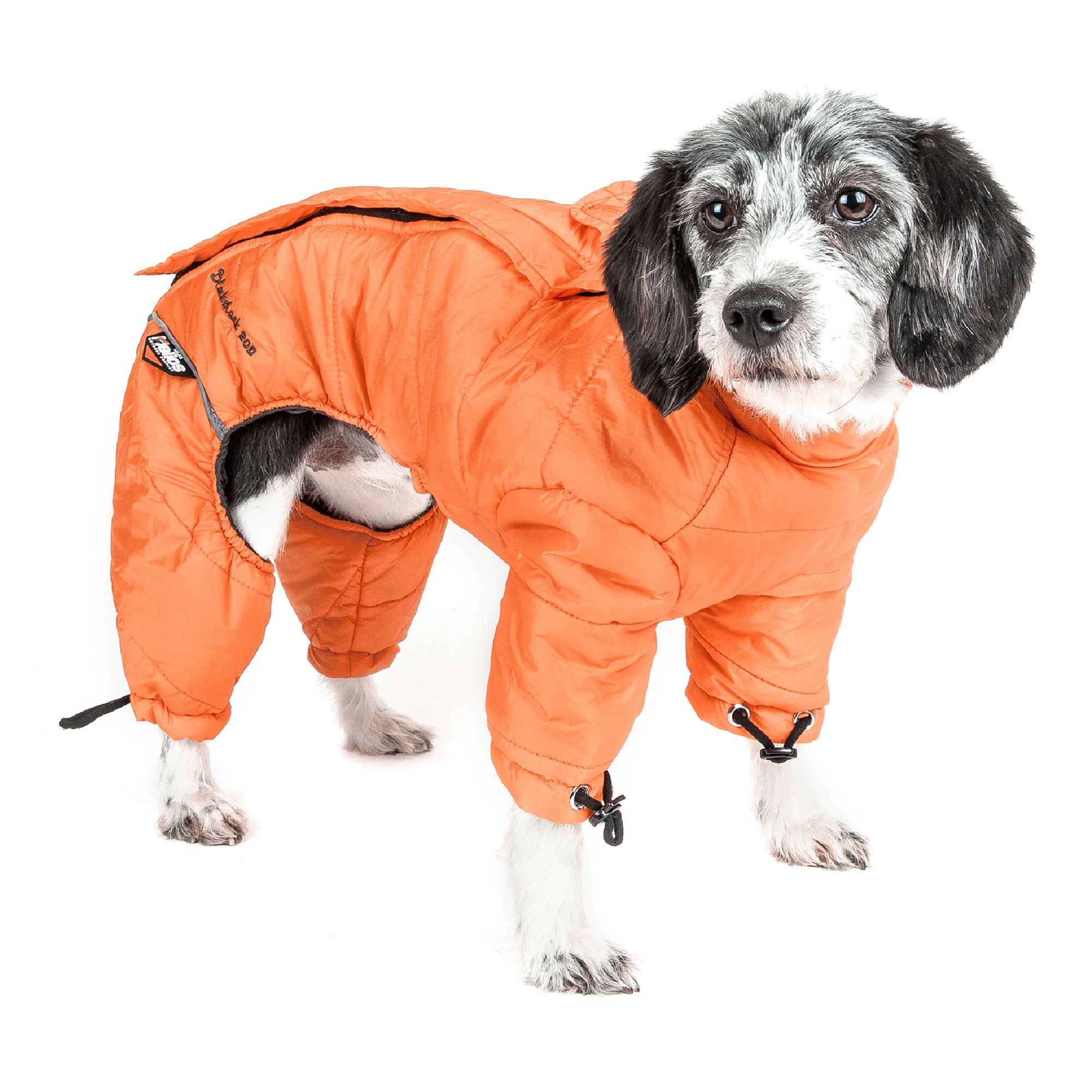 Petsmart store thunder jacket