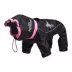 Dog Helios Weather-King Ultimate Windproof Full Bodied Dog Jacket image thumbnail 1