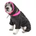 Dog Helios Weather-King Ultimate Windproof Full Bodied Dog Jacket image thumbnail 3