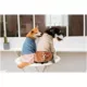 Product Touchdog Modress Fashion Designer Dog Sweater Dress