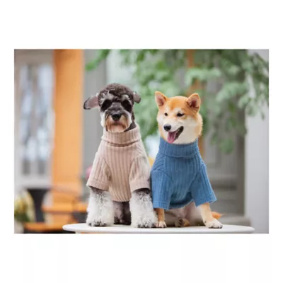 Product Touchdog Modress Fashion Designer Dog Sweater Dress