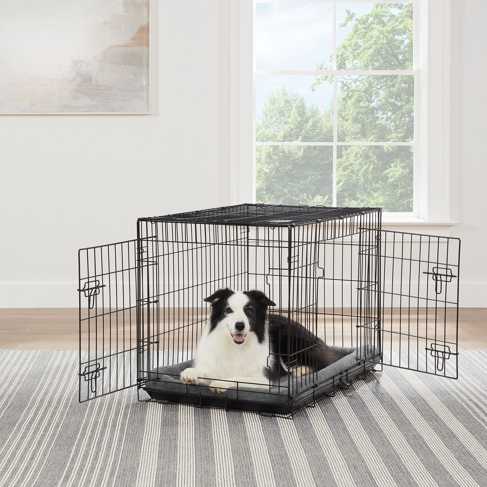 Petsmart heavy 2025 duty dog crate