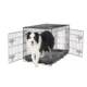 Product Top Paw® Double Door Folding Wire Dog Crate with Divider Panel
