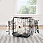 rent dog travel crate