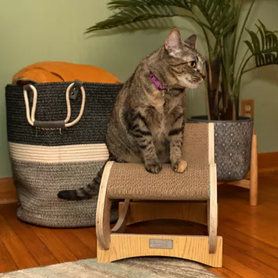 Product Armarkat Real Wood Wooden Cat Rocking Chair Cat Scratcher