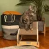 Armarkat Real Wood Wooden Cat Rocking Chair Cat Scratcher image thumbnail 7