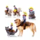 Product Pet Life Halloween Yeepaw Cowboy Dog & Cat Costume