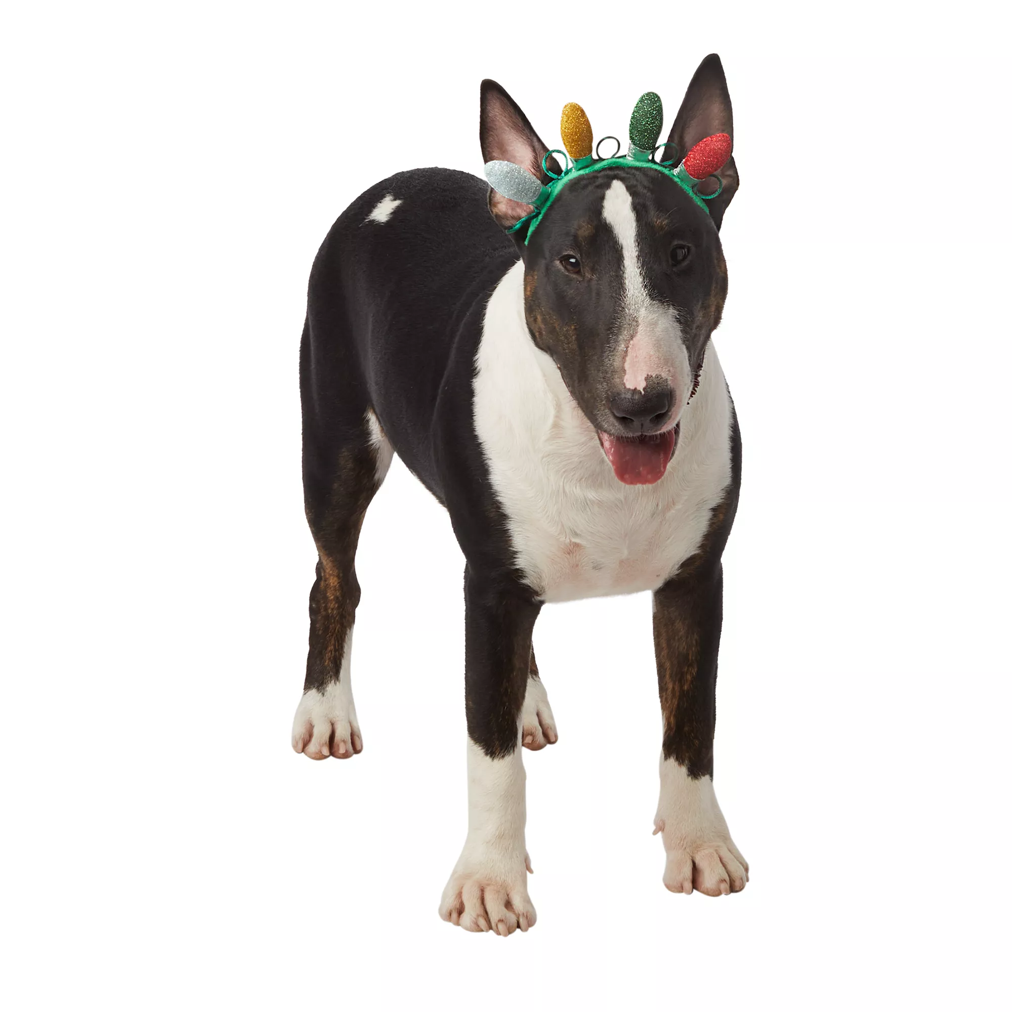 Merry & Bright&trade; Holiday Christmas Lights Dog Headband