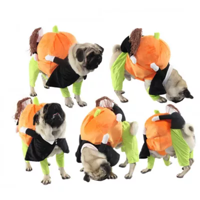 Pet Life Halloween Pumpkin Mon Dog & Cat Costume - Image 2