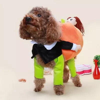 Pet Life Halloween Pumpkin Mon Dog & Cat Costume - Image 4