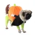 Pet Life Halloween Pumpkin Mon Dog & Cat Costume image thumbnail 1