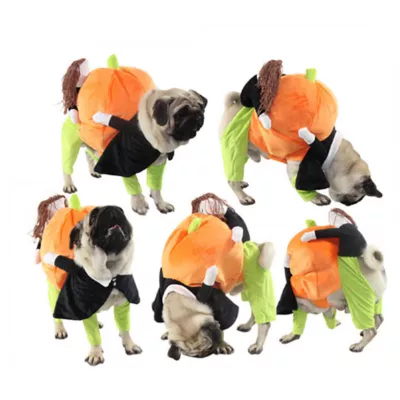 Product Pet Life Halloween Pumpkin Mon Dog & Cat Costume