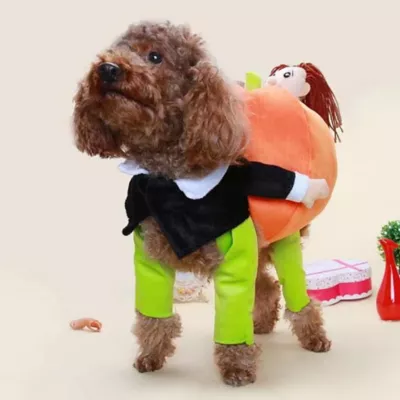 Product Pet Life Halloween Pumpkin Mon Dog & Cat Costume