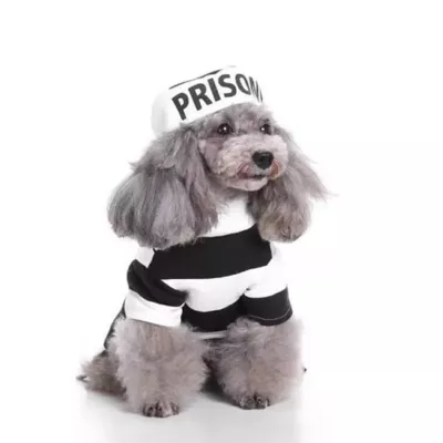 Product Pet Life Halloween Striped Retro Inmate Prisoner Uniform Dog & Cat Costume