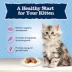 Blue Buffalo Baby BLUE Kitten Dry Food - Chicken & Brown Rice image thumbnail 4