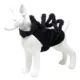 Product Pet Life Halloween Creepy Webs Spider Dog & Cat Costume
