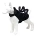 Pet Life Halloween Creepy Webs Spider Dog & Cat Costume image thumbnail 1