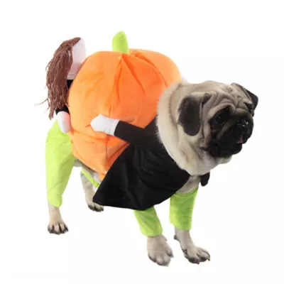 Pet Life Halloween Pumpkin Mon Dog & Cat Costume - Image 1
