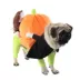 Pet Life Halloween Pumpkin Mon Dog & Cat Costume image thumbnail 1
