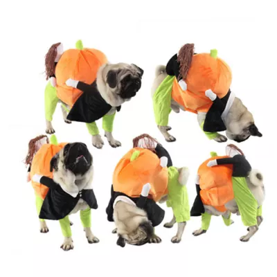 Pet Life Halloween Pumpkin Mon Dog & Cat Costume - Image 2