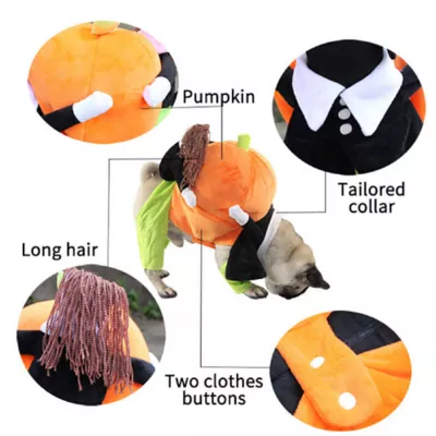 Product Pet Life Halloween Pumpkin Mon Dog & Cat Costume