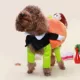 Product Pet Life Halloween Pumpkin Mon Dog & Cat Costume