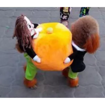 Product Pet Life Halloween Pumpkin Mon Dog & Cat Costume